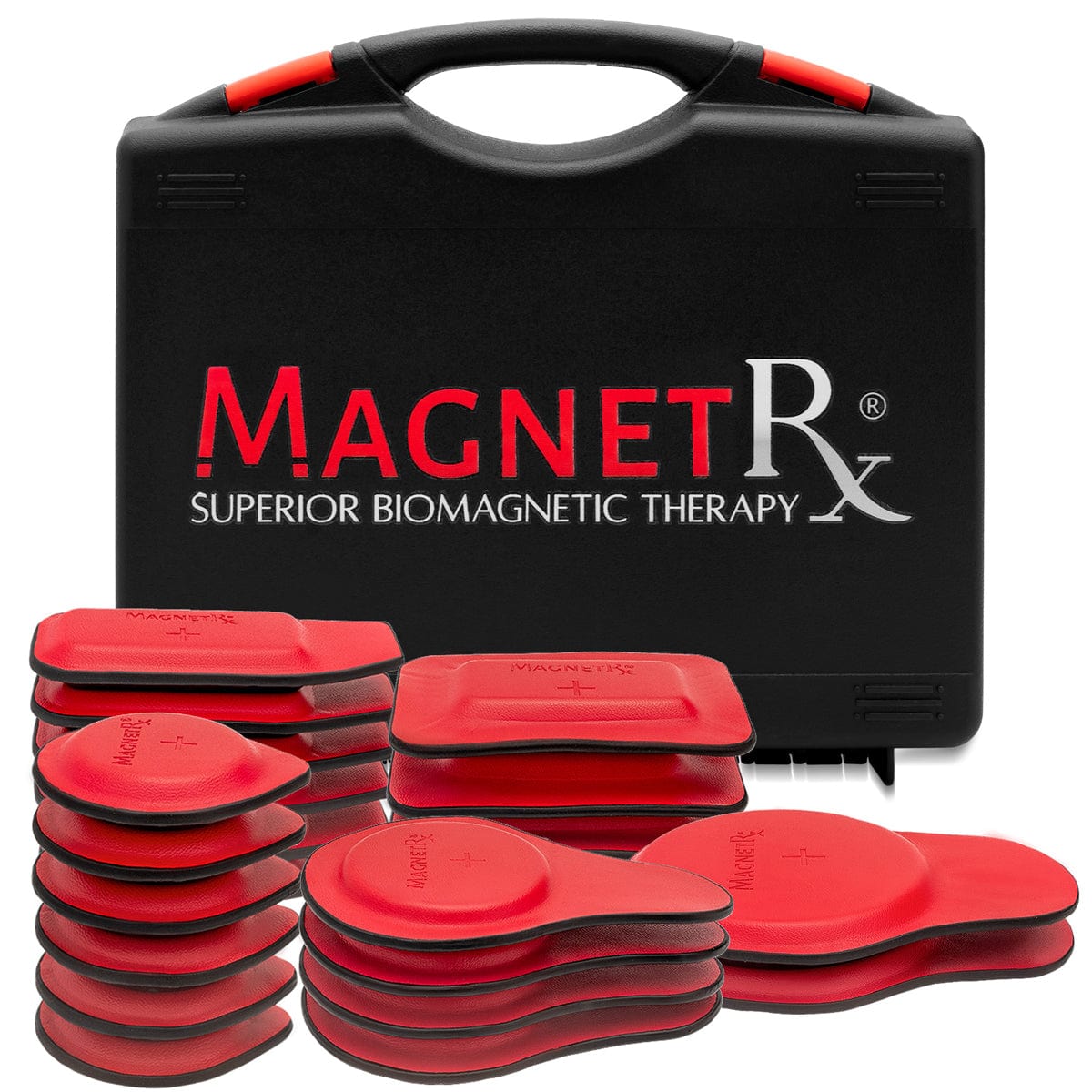 Biomagnetic Therapy Magnet Kit — Ferrite & Leather (22 Mixed Units)