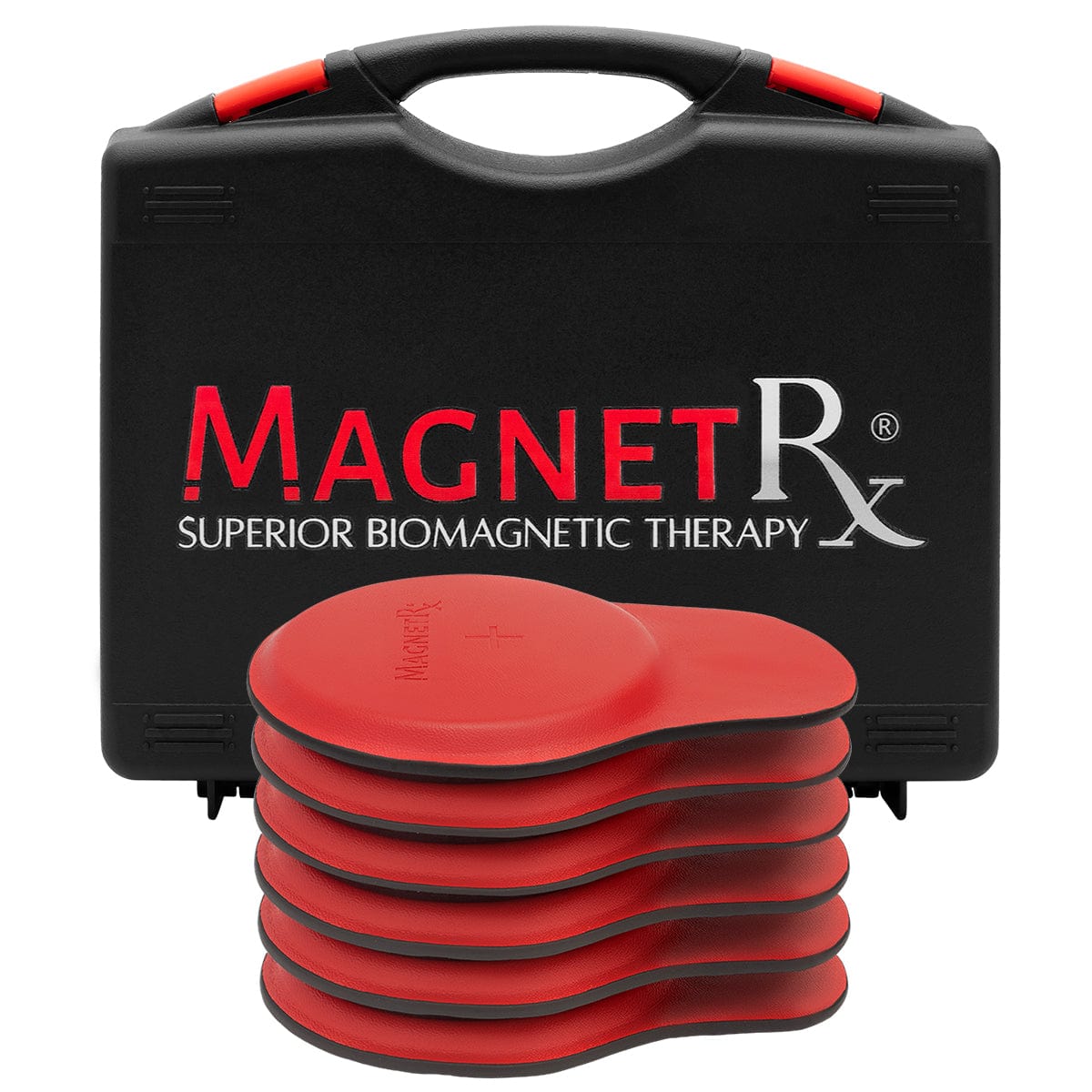 Biomagnetic Therapy Magnets Set (Large 6 Units)