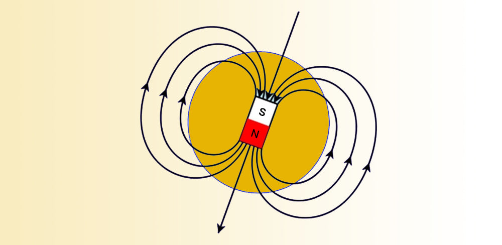 Biomagnetism and Magnetic Therapy: Two Distinct Approaches to Health Through Magnetic Fields