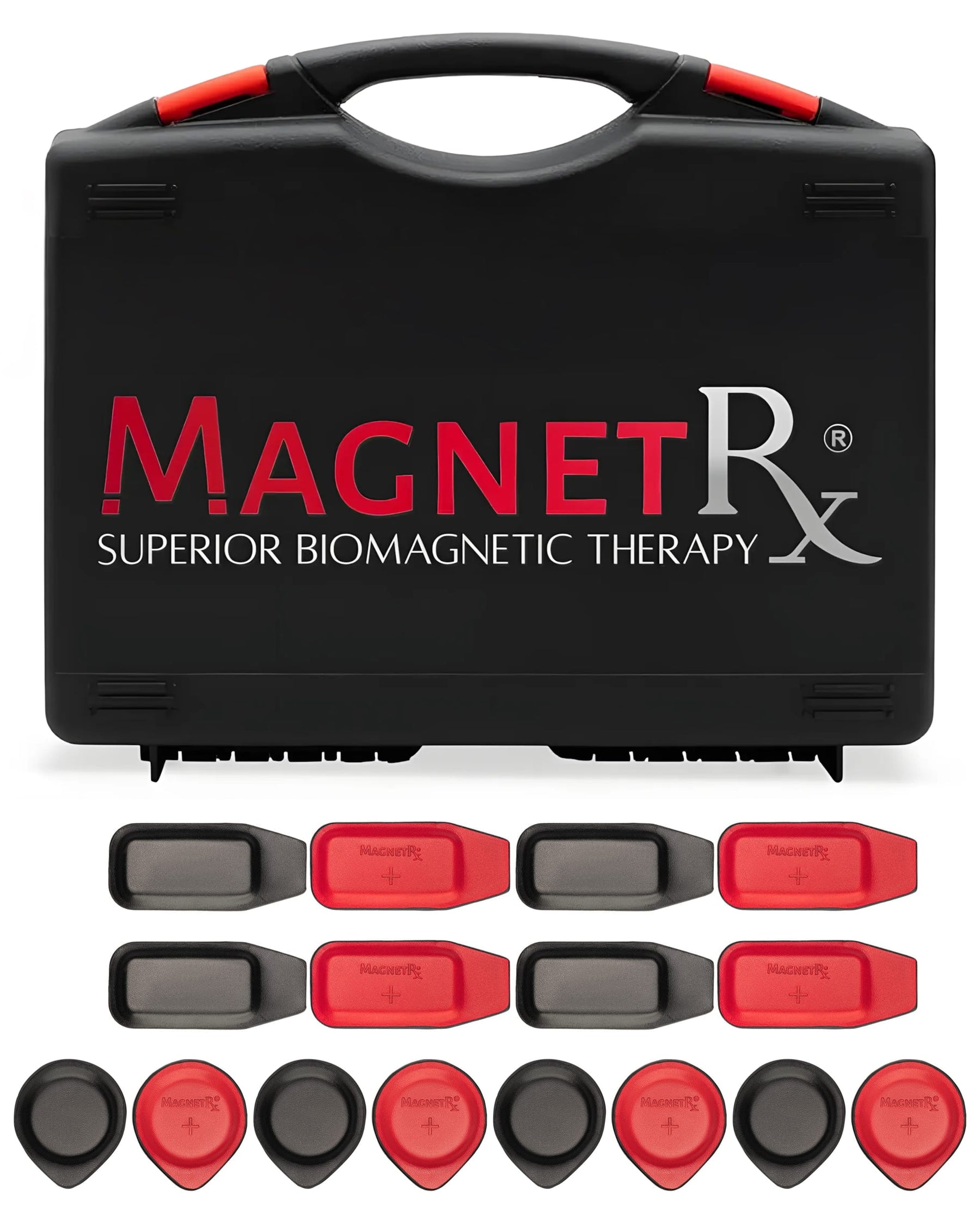 Biomagnetic Therapy Magnet Kit — Ferrite & Leather (16 Small Mixed Units)