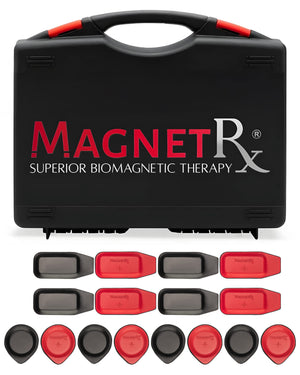 Biomagnetic Therapy Magnet Kit — Ferrite & Leather (16 Small Mixed Units)