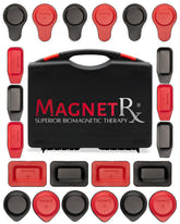 Biomagnetic Therapy Magnet Kit — Ferrite & Leather (22 Mixed Units)