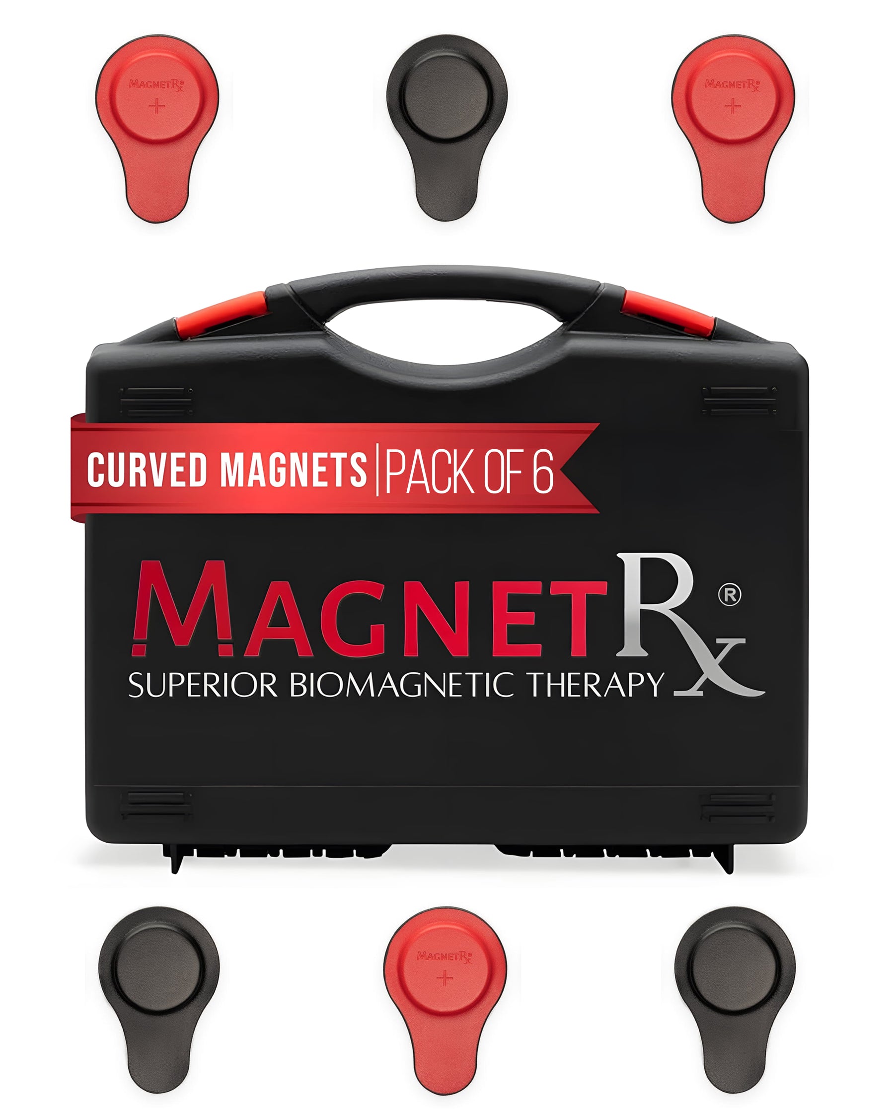 Biomagnetic Therapy Magnet Kit — Ferrite & Leather (6 Large Magnets)