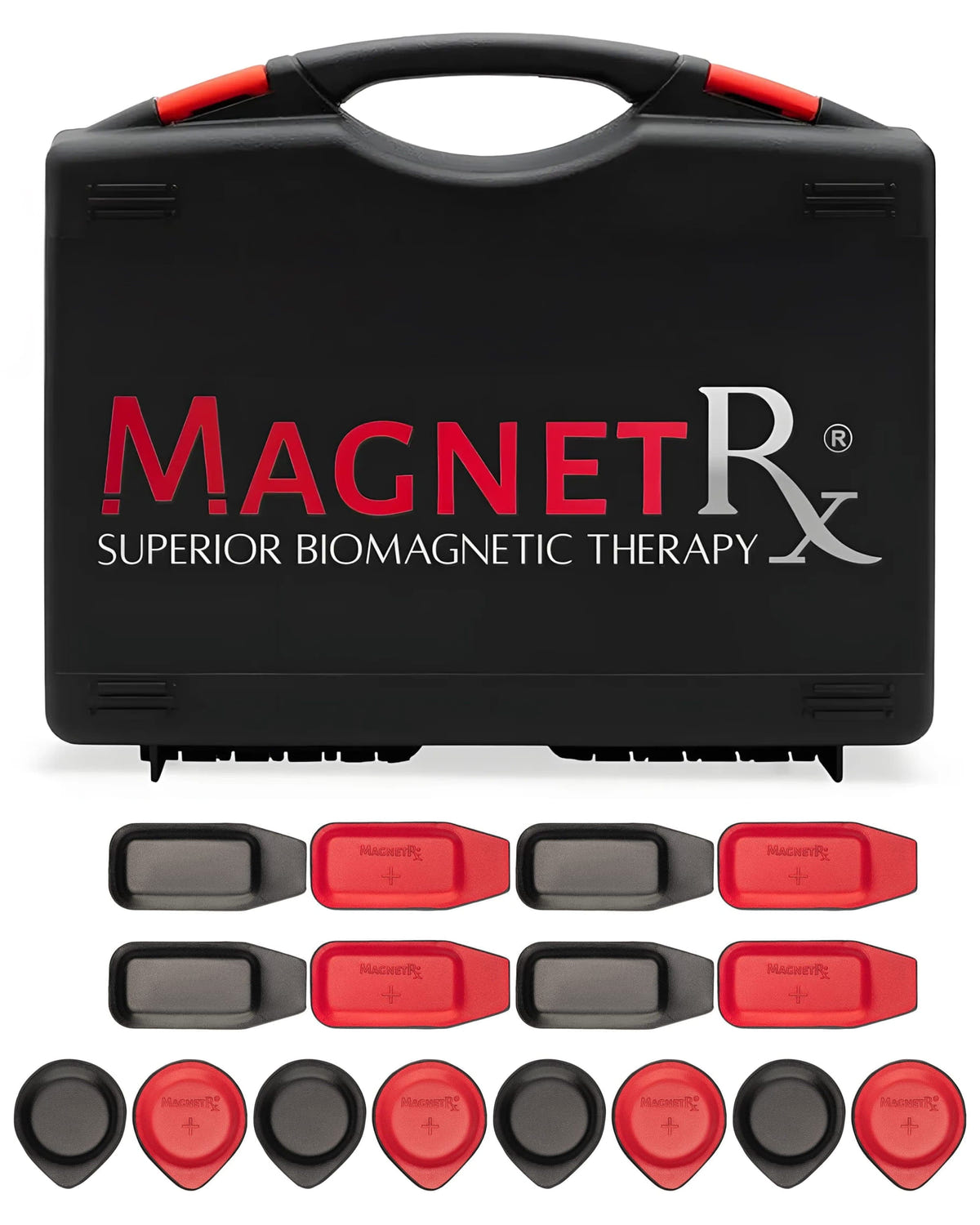 Magnetic Biomagnetic Therapy Biomagnetic Therapy Magnet Kit — Ferrite & Leather (16 Small Mixed Units) MagnetRX