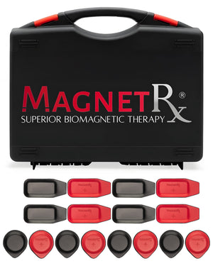 Biomagnetic Therapy Magnet Kit — Ferrite & Leather (16 Small Mixed Units)