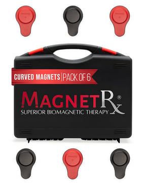 Magnetic Biomagnetic Therapy Biomagnetic Therapy Magnet Kit — Ferrite & Leather (6 Large Magnets) MagnetRX