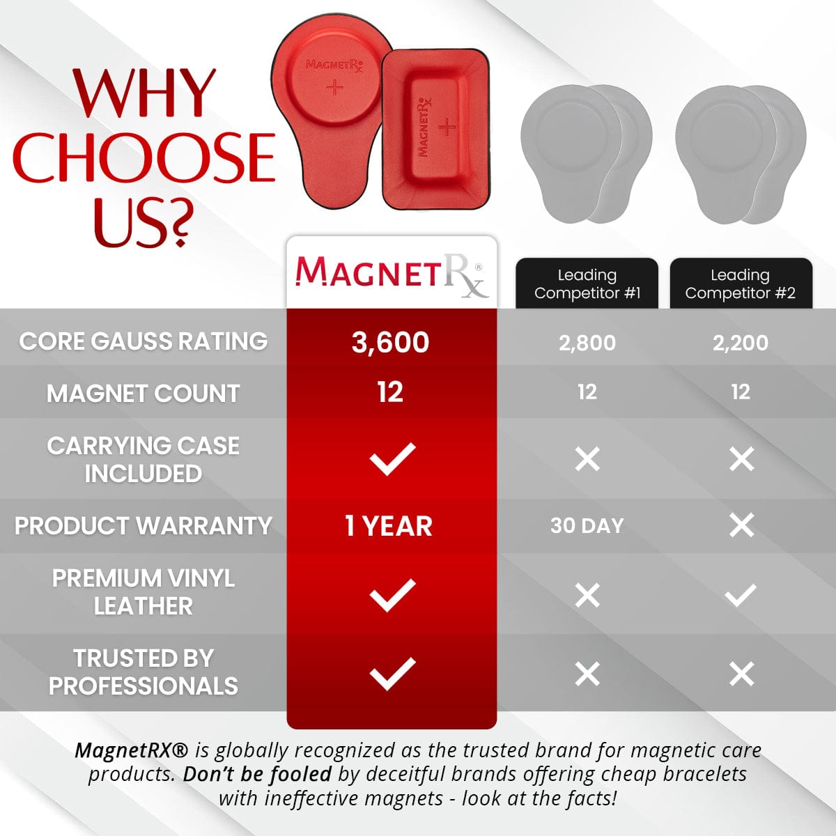 Biomagnetic Therapy Magnet Kit — Ferrite & Leather (12 Mixed Units)