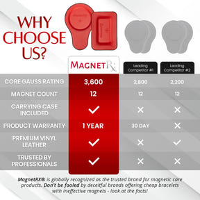Biomagnetic Therapy Magnet Kit — Ferrite & Leather (12 Mixed Units)