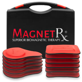 Biomagnetic Therapy Magnet Kit — Ferrite & Leather (12 Mixed Units)