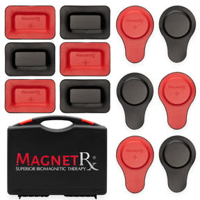 Biomagnetic Therapy Magnet Kit — Ferrite & Leather (12 Mixed Units)
