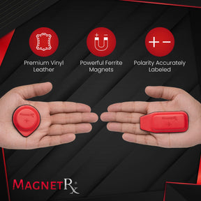 Magnetic Biomagnetic Therapy Biomagnetic Therapy Magnets Kit (16 Small Mixed Units) MagnetRX