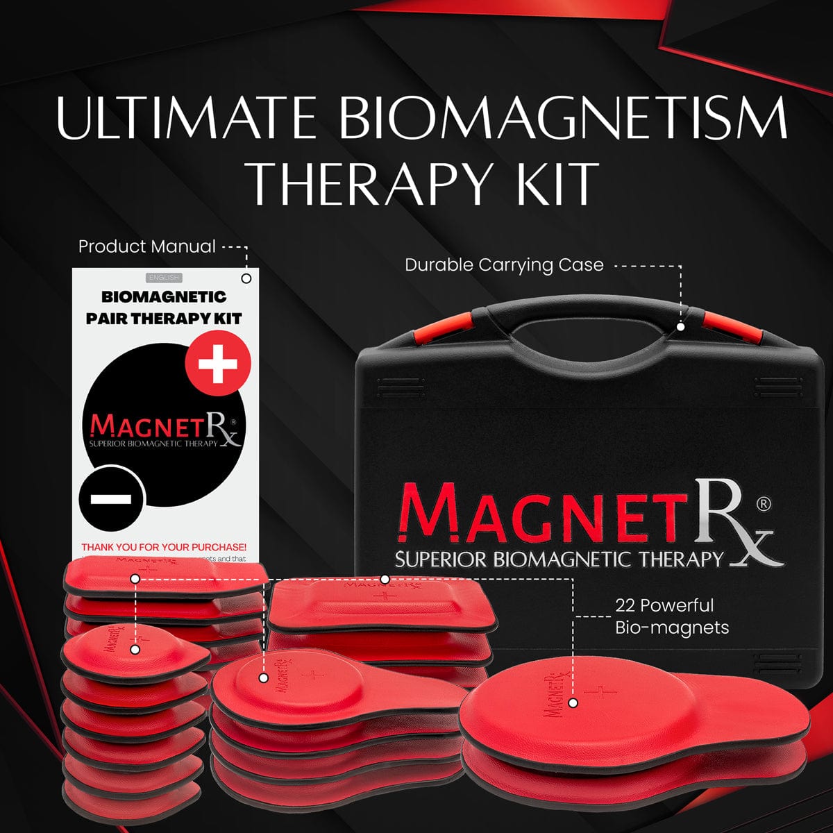 Biomagnetic Therapy Magnet Kit — Ferrite & Leather (22 Mixed Units)