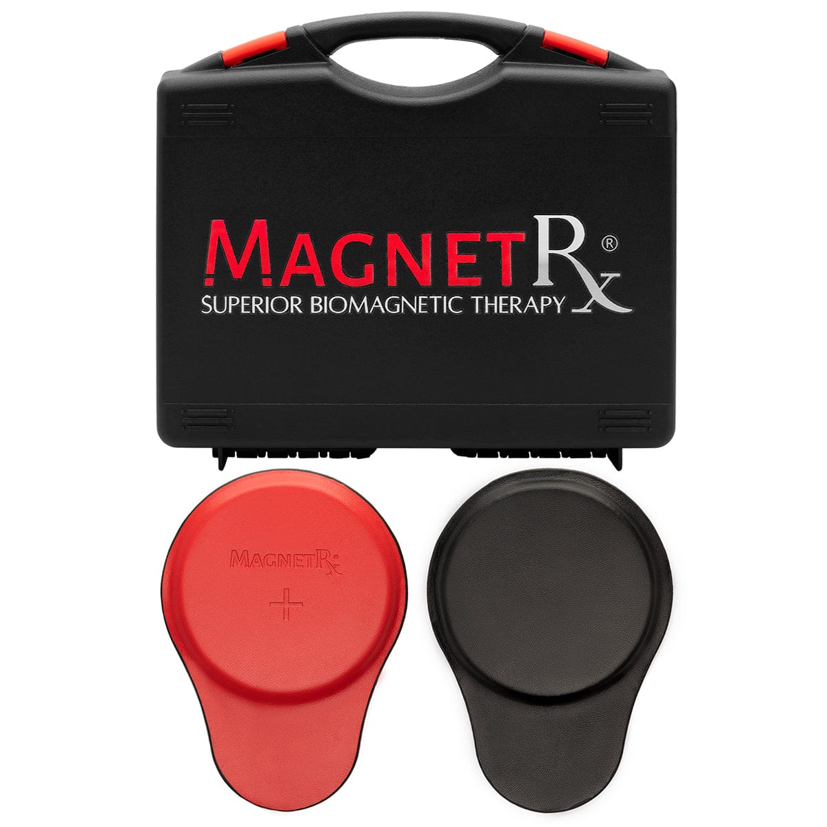 Biomagnetic Therapy Magnet Kit — Ferrite & Leather (6 Large Magnets)