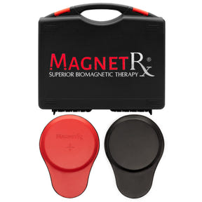 Biomagnetic Therapy Magnet Kit — Ferrite & Leather (6 Large Magnets)