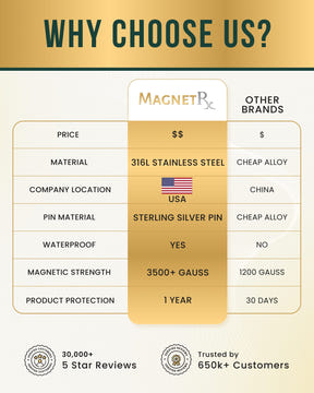 Magnetic Earrings Polished Magnetic Therapy Earrings for Women (Silver) MagnetRX