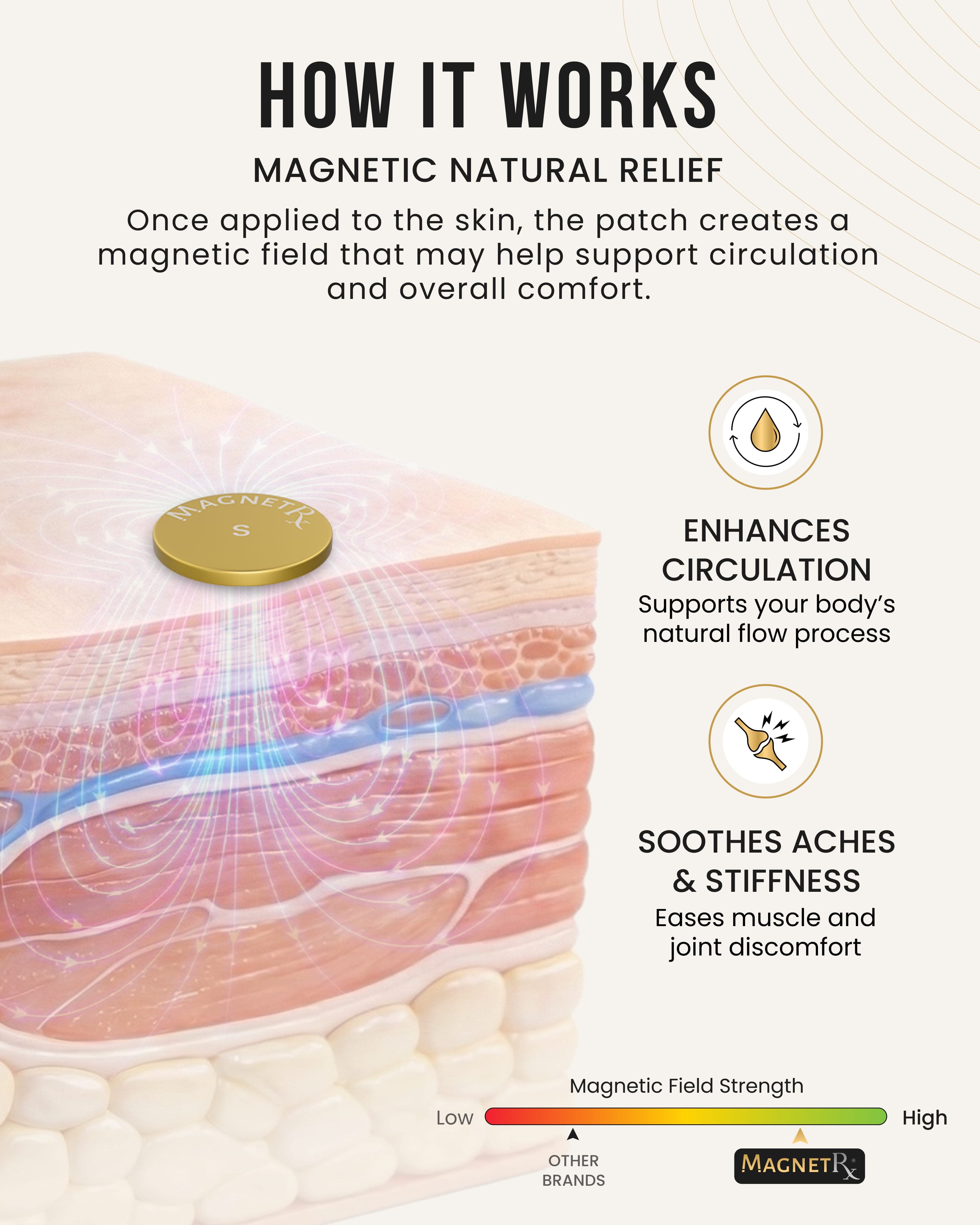 Magnetic Therapy Spot Magnet Kit | MagnetRX